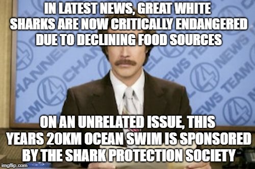 This one may come back to bite us... | IN LATEST NEWS, GREAT WHITE SHARKS ARE NOW CRITICALLY ENDANGERED DUE TO DECLINING FOOD SOURCES; ON AN UNRELATED ISSUE, THIS YEARS 20KM OCEAN SWIM IS SPONSORED BY THE SHARK PROTECTION SOCIETY | image tagged in memes,ron burgundy,shark week,sharks | made w/ Imgflip meme maker