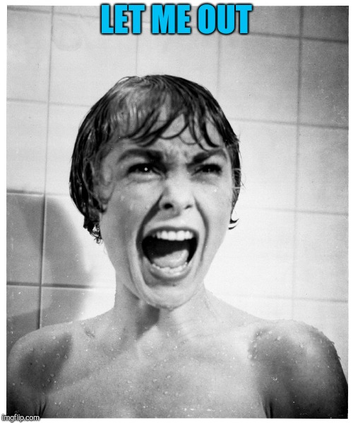 Psycho Shower | LET ME OUT | image tagged in psycho shower | made w/ Imgflip meme maker