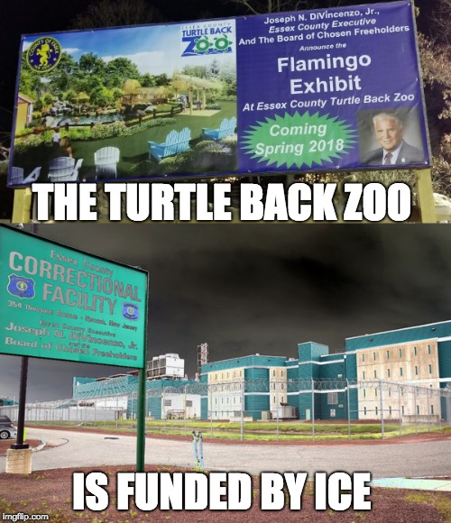 The Turtle Back Zoo is funded by ICE | THE TURTLE BACK ZOO; IS FUNDED BY ICE | image tagged in trump immigration policy | made w/ Imgflip meme maker