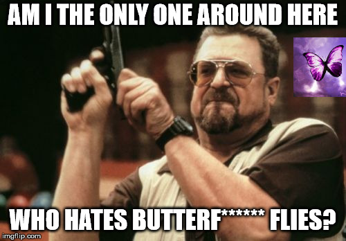 Am I The Only One Around Here Meme | AM I THE ONLY ONE AROUND HERE WHO HATES BUTTERF****** FLIES? | image tagged in memes,am i the only one around here | made w/ Imgflip meme maker