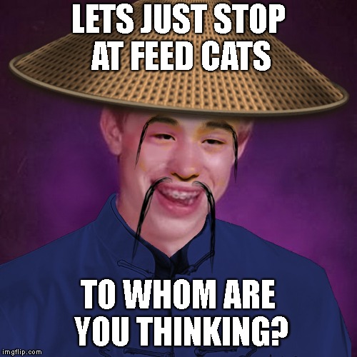 LETS JUST STOP AT FEED CATS TO WHOM ARE YOU THINKING? | made w/ Imgflip meme maker
