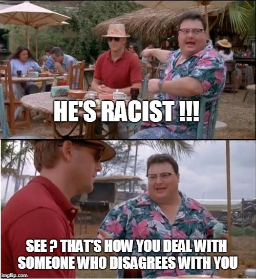 See Nobody Cares Meme | HE'S RACIST !!! SEE ? THAT'S HOW YOU DEAL WITH SOMEONE WHO DISAGREES WITH YOU | image tagged in memes,see nobody cares | made w/ Imgflip meme maker