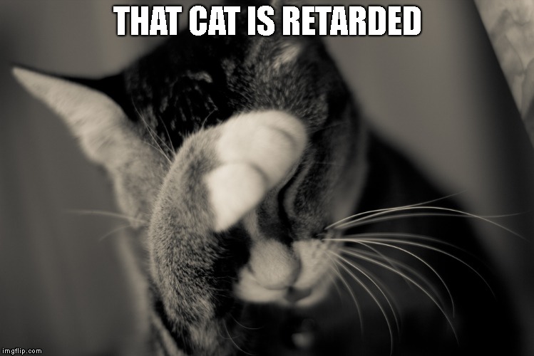 Facepalm cat | THAT CAT IS RETARDED | image tagged in facepalm cat | made w/ Imgflip meme maker