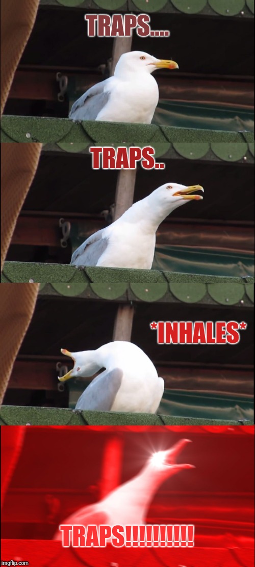 Traps traps everywhere | TRAPS.... TRAPS.. *INHALES*; TRAPS!!!!!!!!!! | image tagged in memes,inhaling seagull,animeme,anime,traps | made w/ Imgflip meme maker