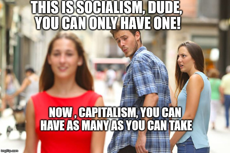 Distracted Boyfriend Meme | THIS IS SOCIALISM, DUDE, YOU CAN ONLY HAVE ONE! NOW , CAPITALISM, YOU CAN HAVE AS MANY AS YOU CAN TAKE | image tagged in memes,distracted boyfriend | made w/ Imgflip meme maker