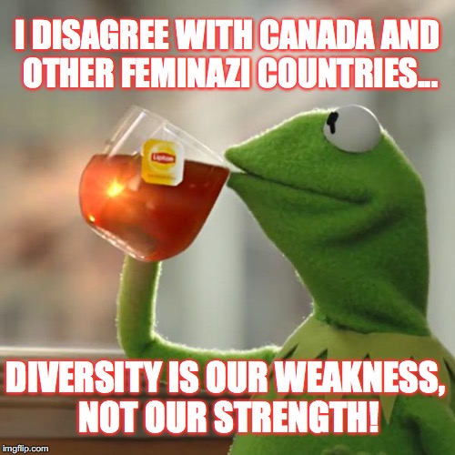 But That's None of my Business, Seeing As I'm an American | I DISAGREE WITH CANADA AND OTHER FEMINAZI COUNTRIES... DIVERSITY IS OUR WEAKNESS, NOT OUR STRENGTH! | image tagged in memes,but thats none of my business,kermit the frog | made w/ Imgflip meme maker