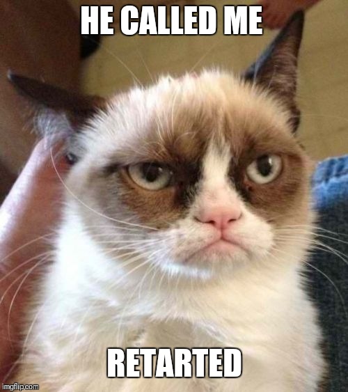 Grumpy Cat Reverse Meme | HE CALLED ME RETARTED | image tagged in memes,grumpy cat reverse,grumpy cat | made w/ Imgflip meme maker