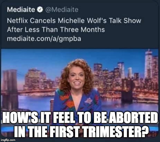 Bye! | HOW'S IT FEEL TO BE ABORTED IN THE FIRST TRIMESTER? | image tagged in prolife,abortion,netflix,michelle wolf,liberals,donald trump | made w/ Imgflip meme maker