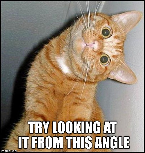 Stupid Cat | TRY LOOKING AT IT FROM THIS ANGLE | image tagged in stupid cat | made w/ Imgflip meme maker