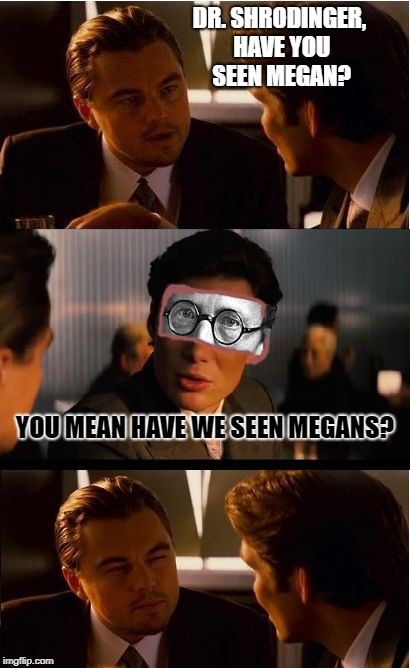 Inception | DR. SHRODINGER, HAVE YOU SEEN MEGAN? YOU MEAN HAVE WE SEEN MEGANS? | image tagged in memes,inception | made w/ Imgflip meme maker
