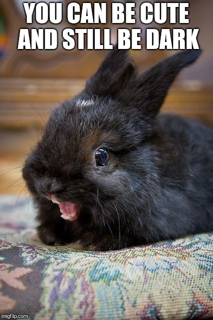 ermahgerd bunny | YOU CAN BE CUTE AND STILL BE DARK | image tagged in ermahgerd bunny | made w/ Imgflip meme maker