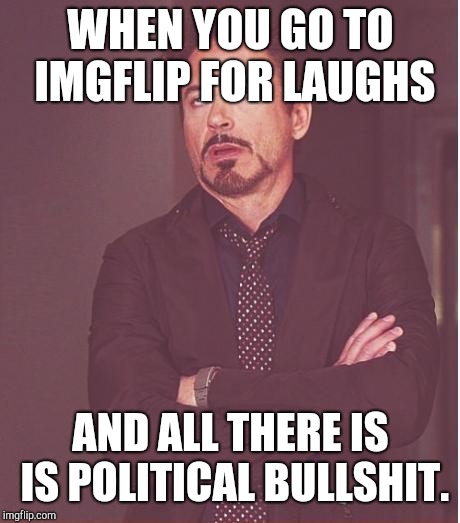 Ugh... Lisa Episode... | WHEN YOU GO TO IMGFLIP FOR LAUGHS; AND ALL THERE IS IS POLITICAL BULLSHIT. | image tagged in ugh lisa episode | made w/ Imgflip meme maker
