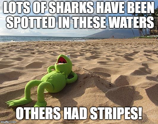 kermit on beach | LOTS OF SHARKS HAVE BEEN SPOTTED IN THESE WATERS; OTHERS HAD STRIPES! | image tagged in kermit on beach | made w/ Imgflip meme maker