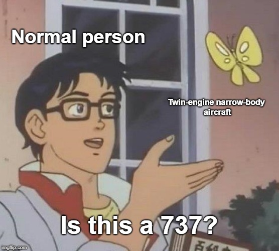 Is This A 737 | Normal person; Twin-engine narrow-body aircraft; Is this a 737? | image tagged in memes,is this a pigeon,boeing 737,aviation | made w/ Imgflip meme maker