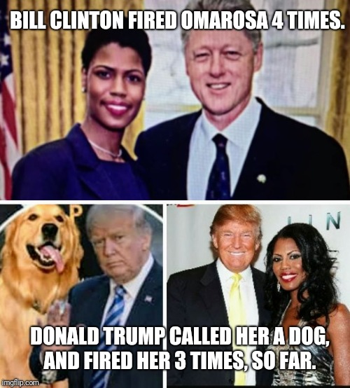 BILL CLINTON FIRED OMAROSA 4 TIMES. DONALD TRUMP CALLED HER A DOG, AND FIRED HER 3 TIMES, SO FAR. | image tagged in omarosa  trump | made w/ Imgflip meme maker