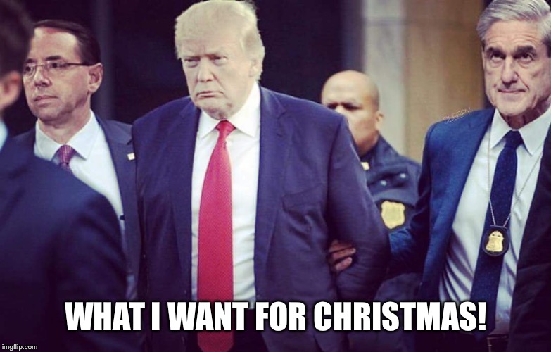 What I want for Christmas  | WHAT I WANT FOR CHRISTMAS! | image tagged in trump getting arrested by mueller,trump hancuffed,mueller and trump,christmas,lock him up,trump prison | made w/ Imgflip meme maker