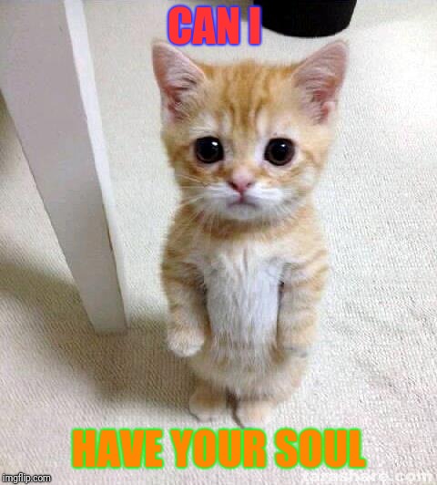 Cute Cat | CAN I; HAVE YOUR SOUL | image tagged in memes,cute cat | made w/ Imgflip meme maker