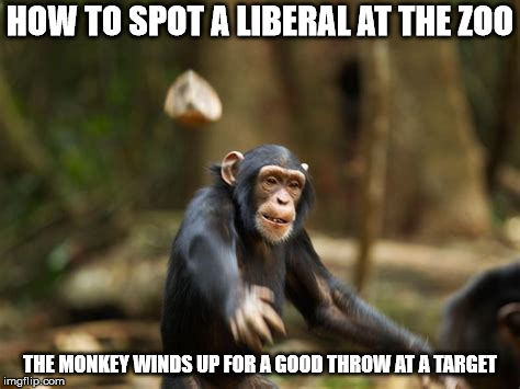 HOW TO SPOT A LIBERAL AT THE ZOO; THE MONKEY WINDS UP FOR A GOOD THROW AT A TARGET | made w/ Imgflip meme maker