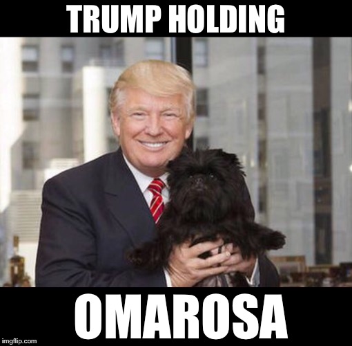 Omarosa the dog | TRUMP HOLDING; OMAROSA | image tagged in maga | made w/ Imgflip meme maker