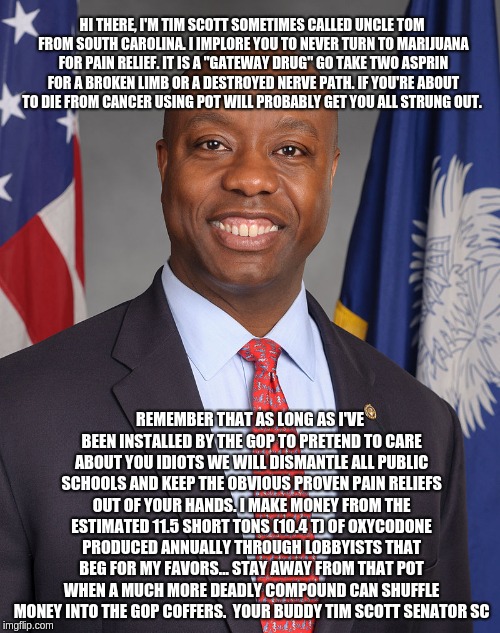 HI THERE, I'M TIM SCOTT SOMETIMES CALLED UNCLE TOM FROM SOUTH CAROLINA. I IMPLORE YOU TO NEVER TURN TO MARIJUANA FOR PAIN RELIEF. IT IS A "GATEWAY DRUG" GO TAKE TWO ASPRIN FOR A BROKEN LIMB OR A DESTROYED NERVE PATH. IF YOU'RE ABOUT TO DIE FROM CANCER USING POT WILL PROBABLY GET YOU ALL STRUNG OUT. REMEMBER THAT AS LONG AS I'VE BEEN INSTALLED BY THE GOP TO PRETEND TO CARE ABOUT YOU IDIOTS WE WILL DISMANTLE ALL PUBLIC SCHOOLS AND KEEP THE OBVIOUS PROVEN PAIN RELIEFS OUT OF YOUR HANDS. I MAKE MONEY FROM THE ESTIMATED 11.5 SHORT TONS (10.4 T) OF OXYCODONE PRODUCED ANNUALLY THROUGH LOBBYISTS THAT BEG FOR MY FAVORS... STAY AWAY FROM THAT POT WHEN A MUCH MORE DEADLY COMPOUND CAN SHUFFLE MONEY INTO THE GOP COFFERS. 
YOUR BUDDY TIM SCOTT SENATOR SC | image tagged in uncle tom tim scott | made w/ Imgflip meme maker