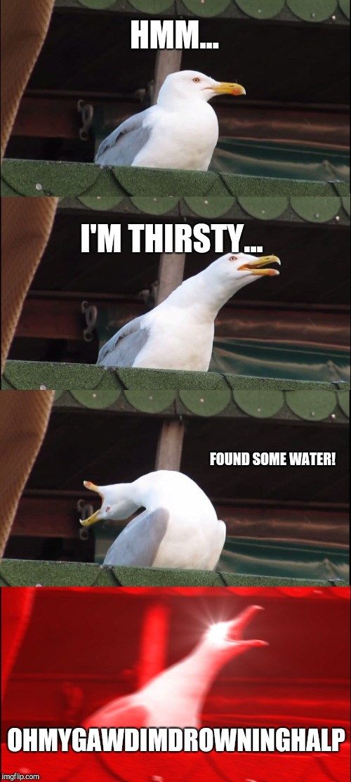 Inhaling Seagull Meme | HMM... I'M THIRSTY... FOUND SOME WATER! OHMYGAWDIMDROWNINGHALP | image tagged in memes,inhaling seagull | made w/ Imgflip meme maker