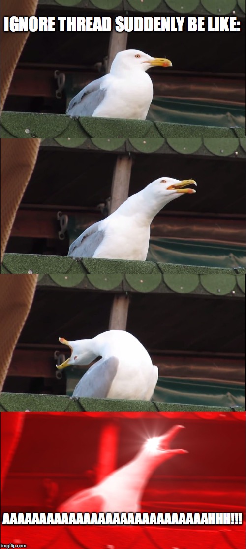 Inhaling Seagull Meme | IGNORE THREAD SUDDENLY BE LIKE:; AAAAAAAAAAAAAAAAAAAAAAAAAAAAHHH!!! | image tagged in memes,inhaling seagull | made w/ Imgflip meme maker