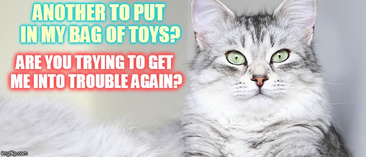 ANOTHER TO PUT IN MY BAG OF TOYS? ARE YOU TRYING TO GET ME INTO TROUBLE AGAIN? | made w/ Imgflip meme maker