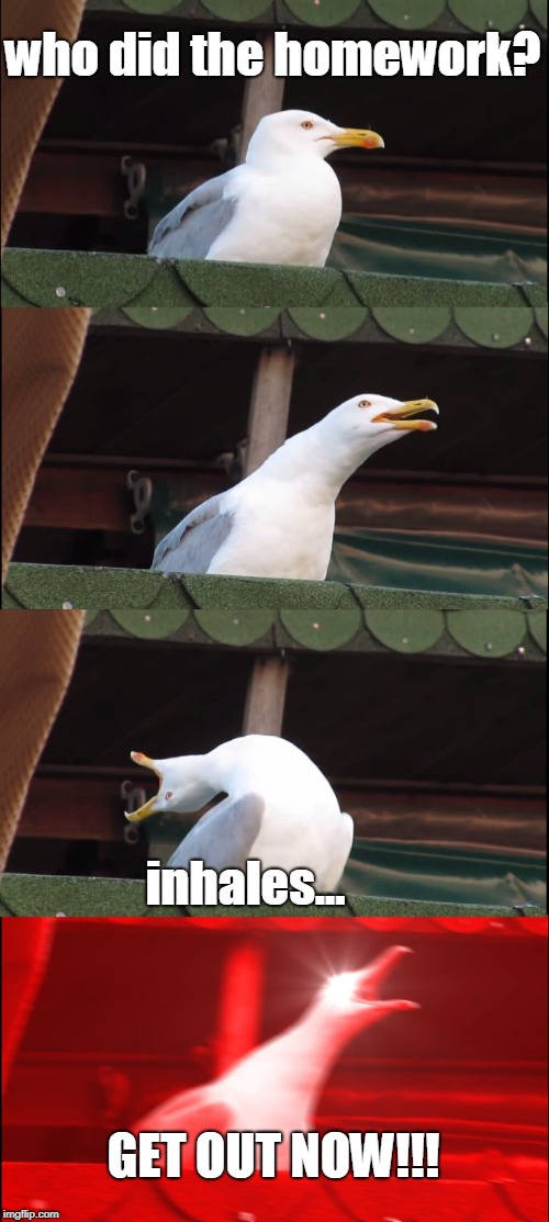 Inhaling Seagull | who did the homework? inhales... GET OUT NOW!!! | image tagged in memes,inhaling seagull | made w/ Imgflip meme maker