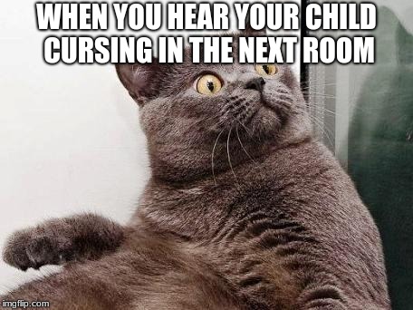 Surprised cat | WHEN YOU HEAR YOUR CHILD CURSING IN THE NEXT ROOM | image tagged in surprised cat | made w/ Imgflip meme maker