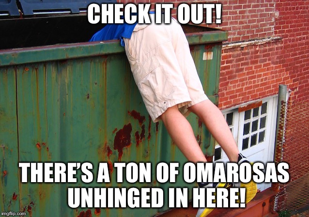 Dumpster Dive | CHECK IT OUT! THERE’S A TON OF OMAROSAS UNHINGED IN HERE! | image tagged in dumpster dive | made w/ Imgflip meme maker