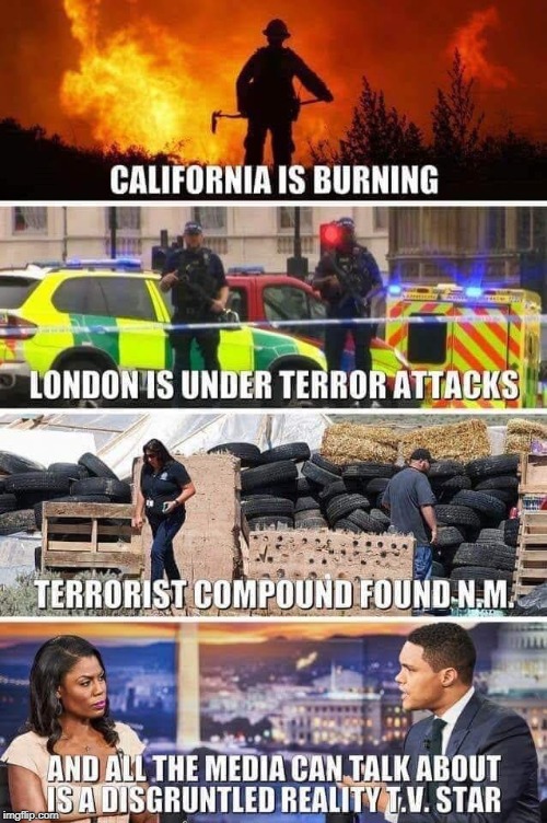 One of the many reasons I don't watch it! | CALIFORNIA IS BURNING; LONDING IS UNDER TERROR ATTACKS; TERRORIST COMPOUND FOUND IN N.M.; AND ALL THE MEDIA CAN TALK ABOUT IS A DISGRUNTLED REALITY T.V. STAR | image tagged in omarosa,wild fires,terrorism,london,mainstream media,memes | made w/ Imgflip meme maker