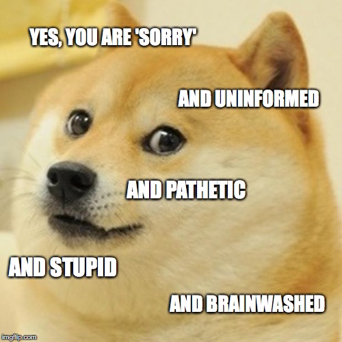 Doge Meme | YES, YOU ARE 'SORRY' AND UNINFORMED AND PATHETIC AND STUPID AND BRAINWASHED | image tagged in memes,doge | made w/ Imgflip meme maker