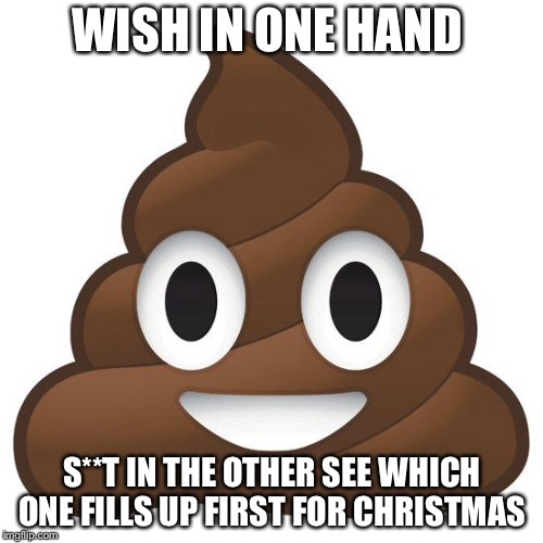 poop | WISH IN ONE HAND S**T IN THE OTHER SEE WHICH ONE FILLS UP FIRST FOR CHRISTMAS | image tagged in poop | made w/ Imgflip meme maker
