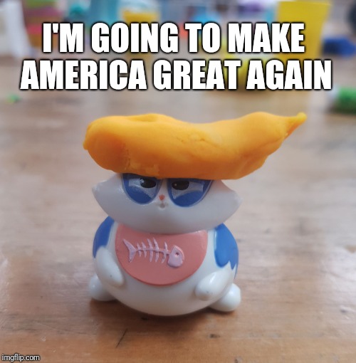 An uncanny likeness. | I'M GOING TO MAKE AMERICA GREAT AGAIN | image tagged in play-doh hair trump cat,trump,donald trump,satire | made w/ Imgflip meme maker