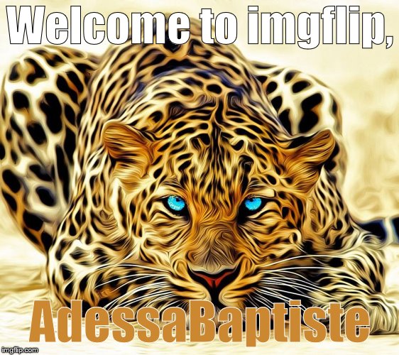 big cat | Welcome to imgflip, AdessaBaptiste | image tagged in big cat | made w/ Imgflip meme maker