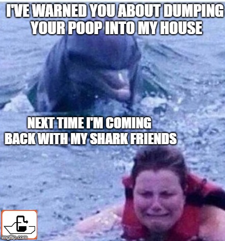 pump dont dump | I'VE WARNED YOU ABOUT DUMPING YOUR POOP INTO MY HOUSE; NEXT TIME I'M COMING BACK WITH MY SHARK FRIENDS | image tagged in poop,dolphin | made w/ Imgflip meme maker