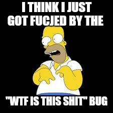 Do you expect to receive fries with that  | I THINK I JUST GOT FUCJED BY THE; "WTF IS THIS SHIT" BUG | image tagged in memes,homer simpson,carlton banks thug life,funy,work,mcdonalds | made w/ Imgflip meme maker