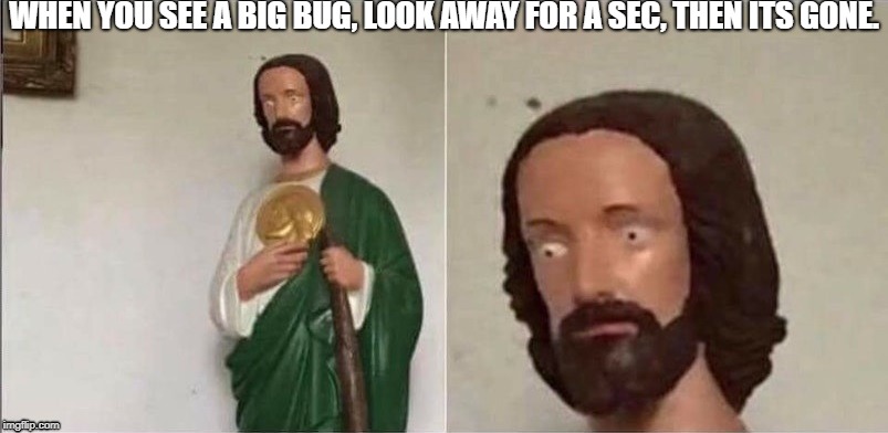 Surprised Jesus | WHEN YOU SEE A BIG BUG, LOOK AWAY FOR A SEC, THEN ITS GONE. | image tagged in surprised jesus | made w/ Imgflip meme maker