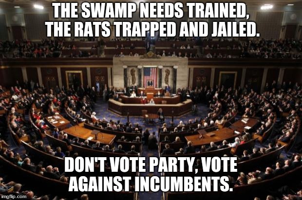 congress | THE SWAMP NEEDS TRAINED, THE RATS TRAPPED AND JAILED. DON'T VOTE PARTY, VOTE AGAINST INCUMBENTS. | image tagged in congress | made w/ Imgflip meme maker
