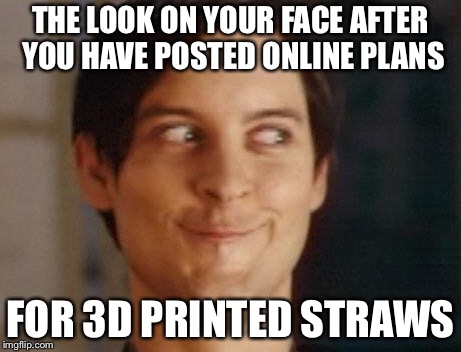 Spiderman Peter Parker | THE LOOK ON YOUR FACE AFTER YOU HAVE POSTED ONLINE PLANS; FOR 3D PRINTED STRAWS | image tagged in memes,spiderman peter parker | made w/ Imgflip meme maker