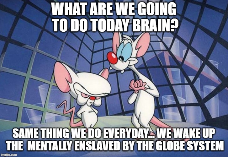 pinky brain | WHAT ARE WE GOING TO DO TODAY BRAIN? SAME THING WE DO EVERYDAY... WE WAKE UP THE  MENTALLY ENSLAVED BY THE GLOBE SYSTEM | image tagged in pinky brain | made w/ Imgflip meme maker