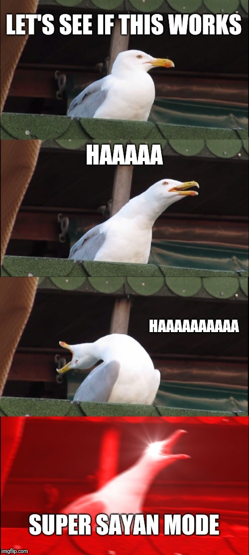 Inhaling Seagull | LET'S SEE IF THIS WORKS; HAAAAA; HAAAAAAAAAA; SUPER SAYAN MODE | image tagged in memes,inhaling seagull | made w/ Imgflip meme maker