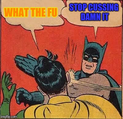 Batman Slapping Robin Meme | WHAT THE FU STOP CUSSING DAMN IT | image tagged in memes,batman slapping robin | made w/ Imgflip meme maker