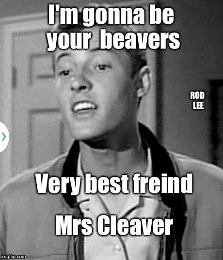 Friends  | ROD LEE | image tagged in beaver,leave it to beaver | made w/ Imgflip meme maker