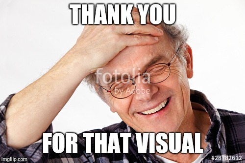 THANK YOU FOR THAT VISUAL | made w/ Imgflip meme maker