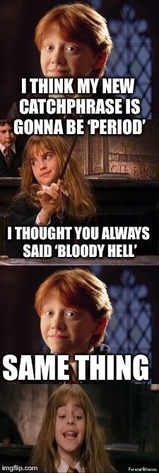 I know this is a repost, but it’s still funny! | I THINK MY NEW CATCHPHRASE IS GONNA BE ‘PERIOD’; I THOUGHT YOU ALWAYS SAID ‘BLOODY HELL’; SAME THING | image tagged in ron weasley,hermione granger | made w/ Imgflip meme maker