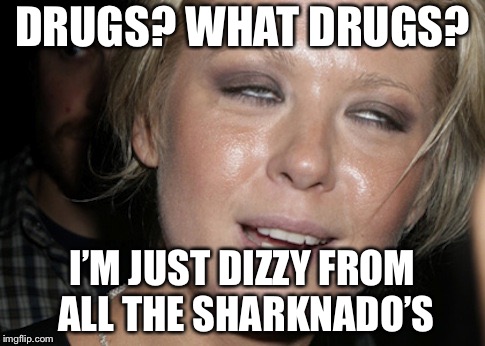 Tara Reid Hot Mess | DRUGS? WHAT DRUGS? I’M JUST DIZZY FROM ALL THE SHARKNADO’S | image tagged in tara reid hot mess,sharknado,memes,stoned | made w/ Imgflip meme maker