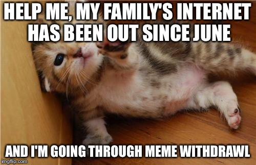 I had to go to the nearest LIBRARY to make this. Ugh... | HELP ME, MY FAMILY'S INTERNET HAS BEEN OUT SINCE JUNE; AND I'M GOING THROUGH MEME WITHDRAWL | image tagged in help me kitten,memes | made w/ Imgflip meme maker