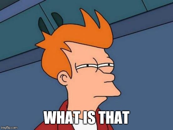 Futurama Fry Meme | WHAT IS THAT | image tagged in memes,futurama fry | made w/ Imgflip meme maker