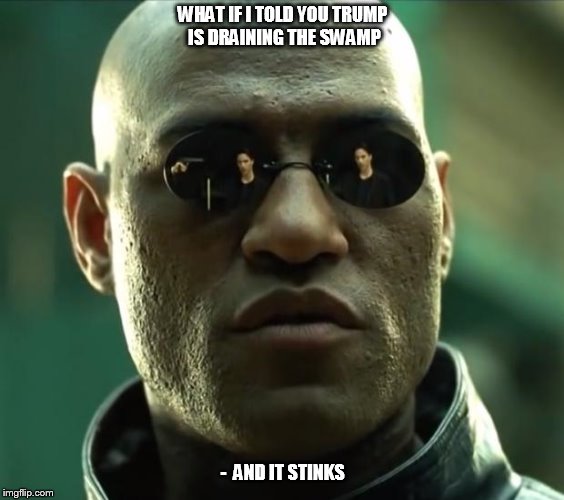 Morpheus  | WHAT IF I TOLD YOU TRUMP 
IS DRAINING THE SWAMP; -  AND IT STINKS | image tagged in morpheus | made w/ Imgflip meme maker